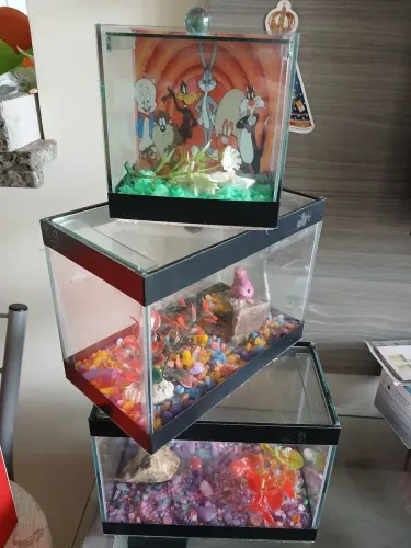 Aquário