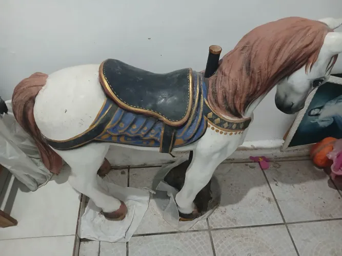 Cavalo para fotógrafo