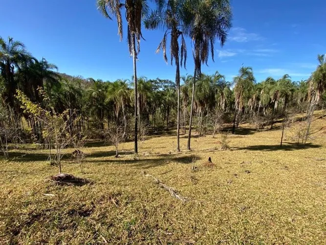 Vende-se Fazenda de 16.72 alqueires em Trindade-GO
