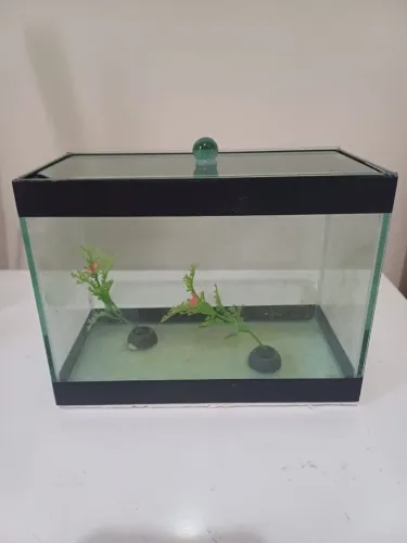 aguario para peixes