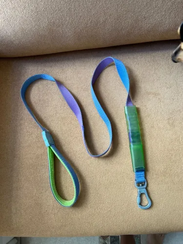 Guia ZeeDog com amortecedor de puxão 