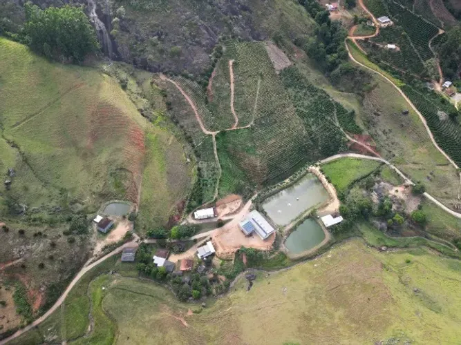 Fazenda de Café Arábica toda automatizada - Grande Oportunidade no sul do Espírito Santo