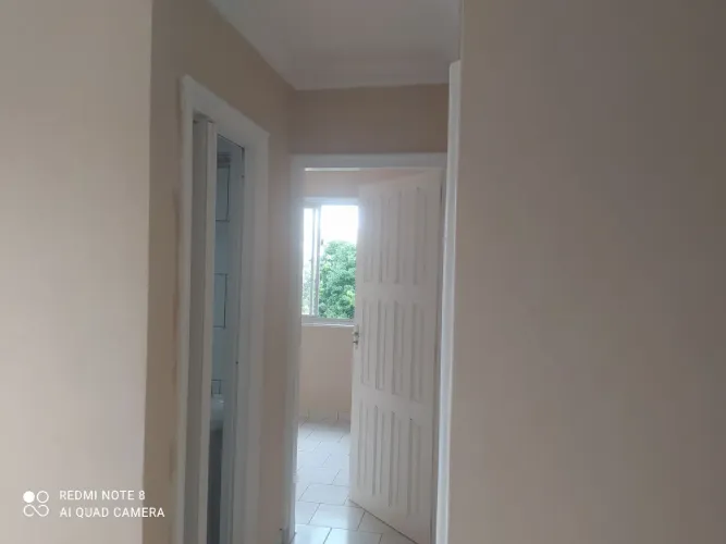 Predeiro,e Pinto profissional ser precisa 