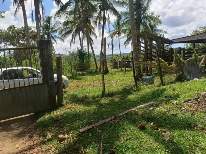 Vendo fazenda pecuaria no municipio de jaguaripe