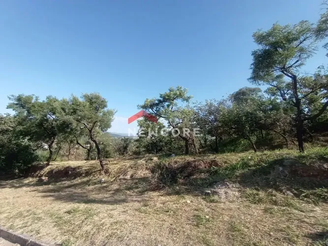 Lote em Avenida São Paulo - Padre Miguel - Santa Luzia/MG