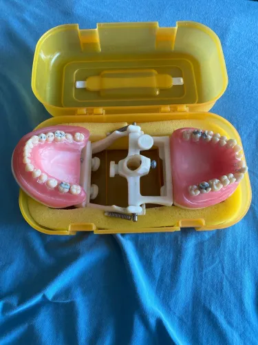 Manequim Dentística