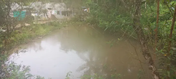 Chácara pedro de Toledo SP ( Despraiado sentido Iguape)