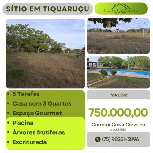 SÍTIO EM TIQUARUÇU - 5 TAREFAS