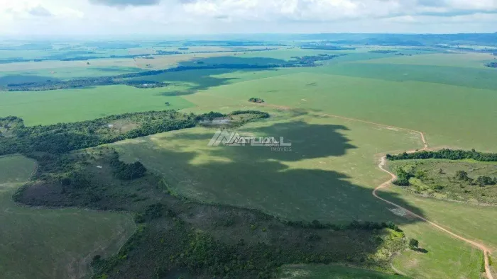 Fazenda com 51 Alqueires à venda, Paraúna-GO