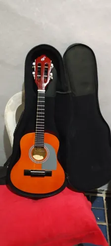 Cavaquinho Gianini start novo com case