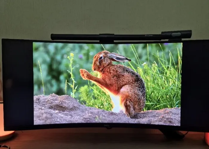 Monitor Dell S3422DWG Curvo 34" Ultrawide WQHD 3440x1440 144Hz VA - (12 meses de uso)