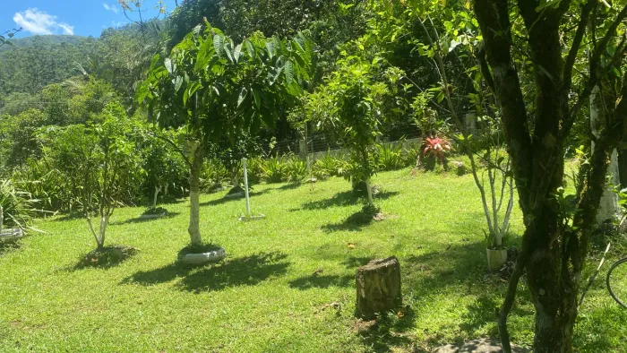 Lindo pedaço do paraíso