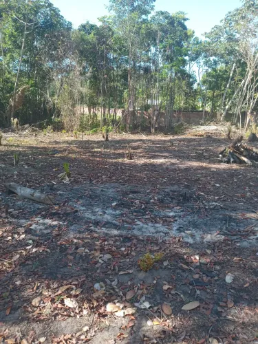 Terreno 30 ×45