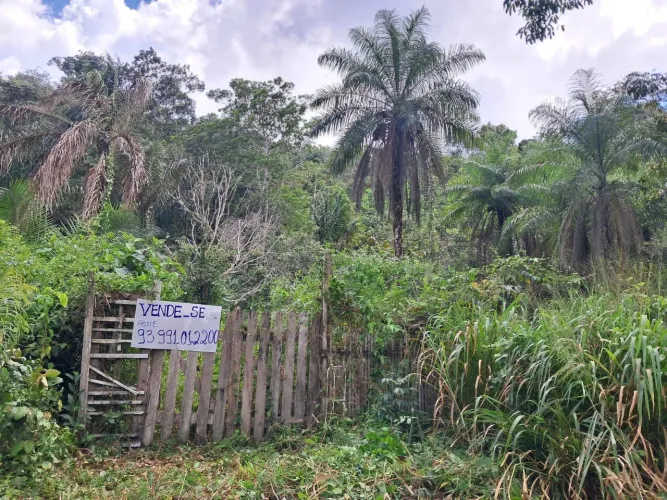 Terreno no vila nova 30x590