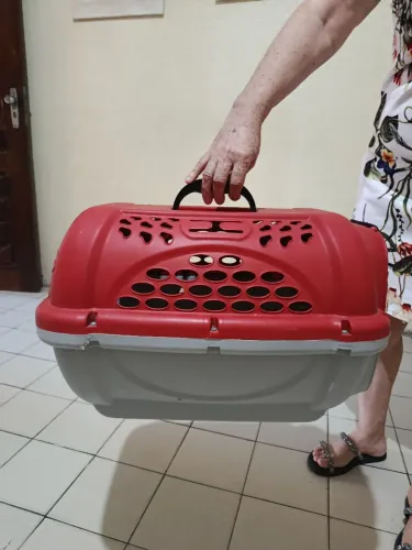 Caixa de transporte de animais