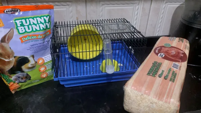 Kit hamster