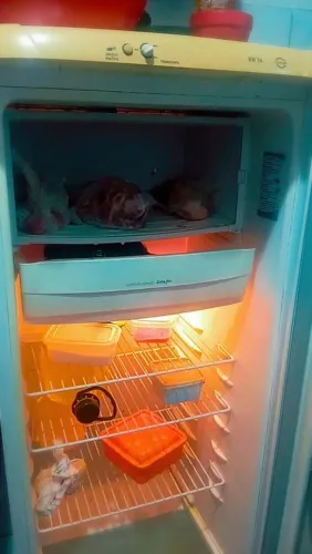 Geladeira 