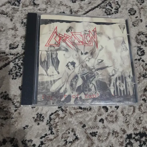 Cd Corrosion report to exploitation