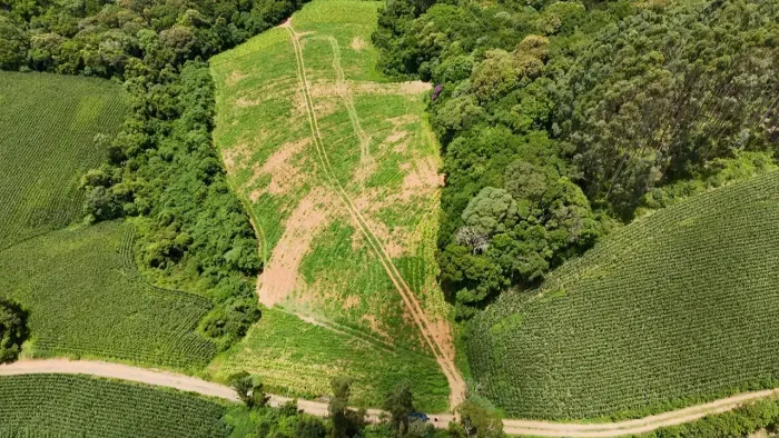 Terreno à Venda em Campo Alegre/SC Região da Avenca do rio negro