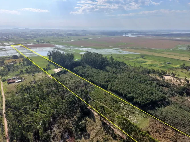 Área de Terra com Excelente Potencial Acesso Asfaltado
