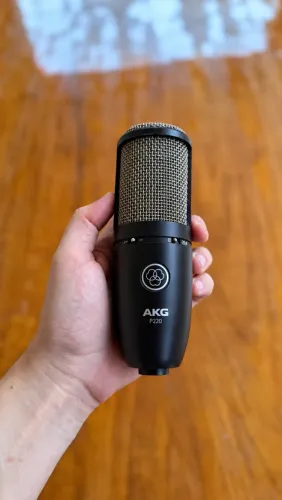 AKG P220