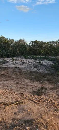 Vendo um lote em damianopolis