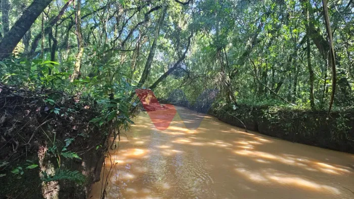 Chácara com 10000 m , registrada, por R 379.000,00 - Zona Rural - Contenda PR