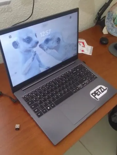 Notebook Samsung Book Celeron Cinza 4gb 256gb Ssd 15,6'' W11 Cor Cinza/Chumbo