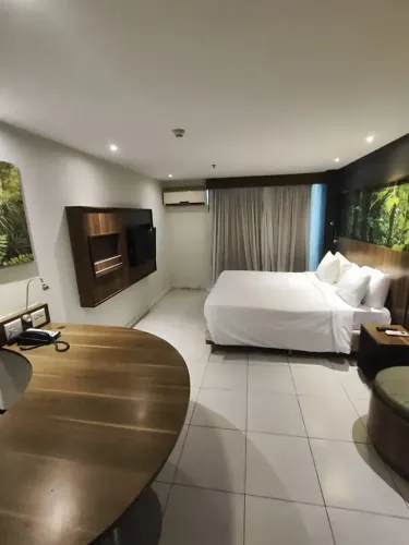 Mercure Mario Guimaães