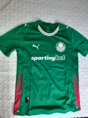 VENDO CAMISA OFICIAL JOGADOR DO PALMEIRAS NOVA, GANHEI MAS TENHO IGUAL.