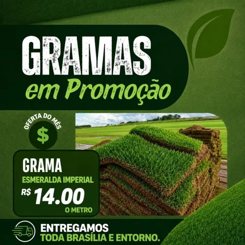 GRAMA ESMERALDA, BATATAIS E SÃO CARLOS