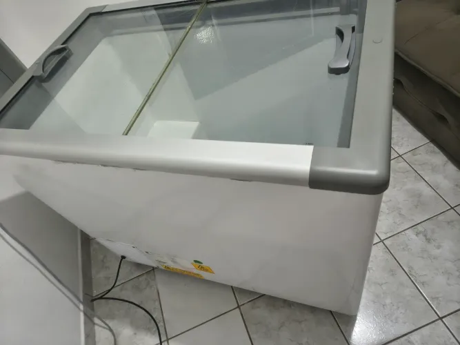 FREEZER NOVA FRICON ?
