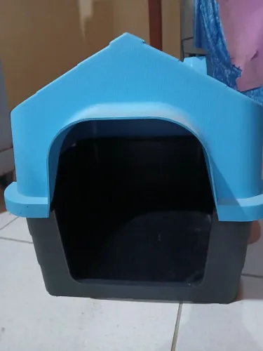 Cass de cachorro gato