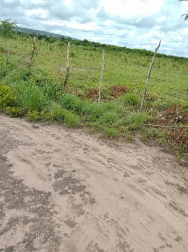 Vendo 17 tarafas na Jurubeba (Antiga aroeiras) Olho D'água 