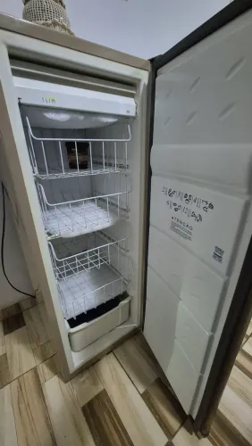 Freezer consul