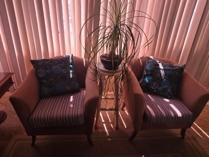 Duas poltronas decorativas, R$550,00