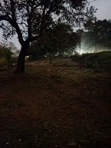 Jardim roçagem de terreno 