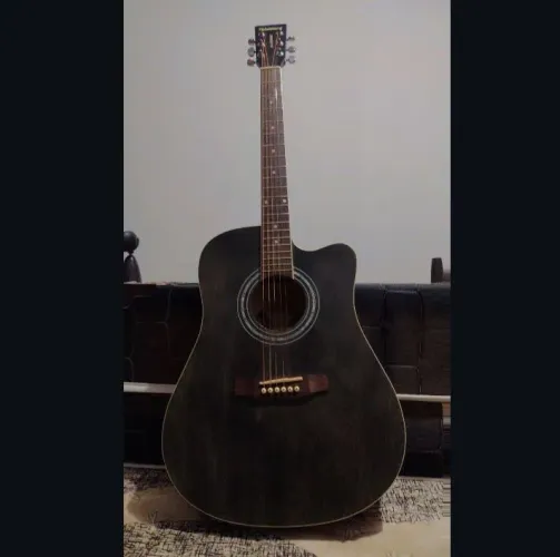 Violão waldman seminovo