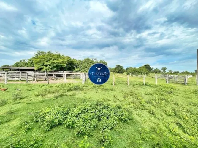 Fazenda à Venda em Crixás - GO | 41 Alqueires com Infraestrutura Completa