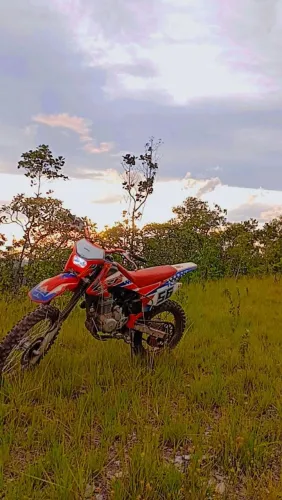 CRF 230