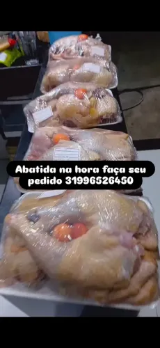 Galinhas abatidas