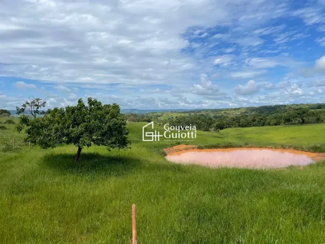 Chácara 3 Alqueires à Venda Silvânia