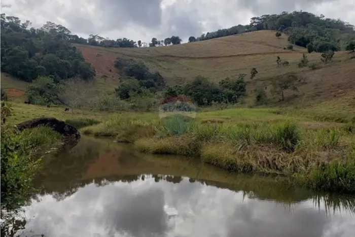 Fazenda com 12.39 Hec - Laranjal - MG - próximo a BR 116 -Todo formado em braquiária Ideal