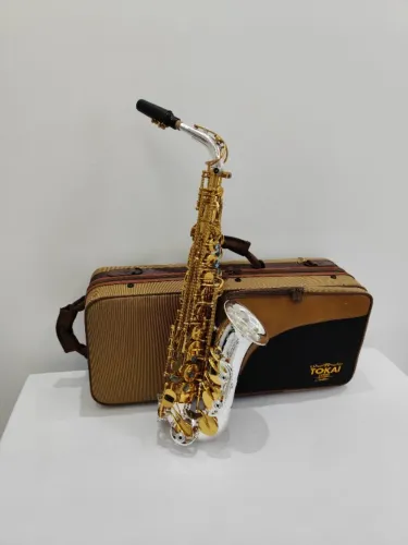 Sax Alto Tokai TSA-300GP Mib - Dourado c/ Prata - NOVO R$6.890 - Parcelo 21x - Troco