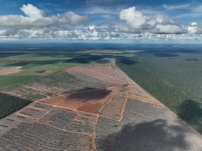 Fazenda de arrendamento pra Eucalipto ou Soja 1.147hec em Nova Maringá MT.