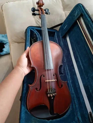 VIOLINO 