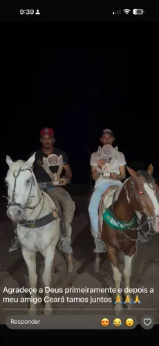 Cavalo de vaquejada 