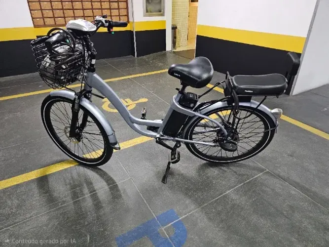 E-bike lev L+ cinza nova