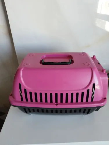 Caixa Transporte Cachorro e Gato