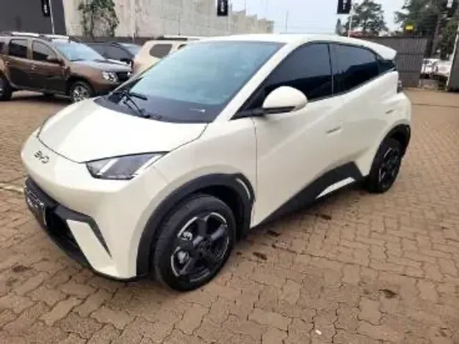 BYD Dolphin Mini (Elétrico) 2024